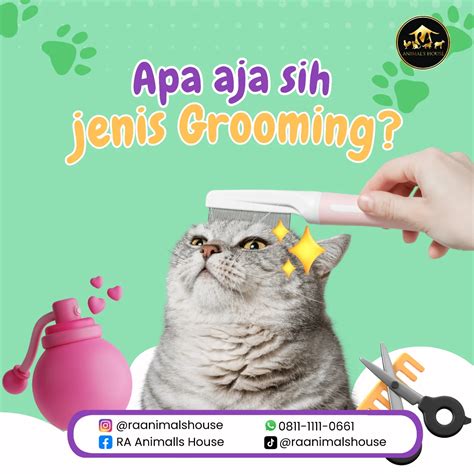 Anime Sex tunggu handshake tertangkap sehingga kecepatan stabil beli vitamin kucing Instagram shop agar realtime PornCom 4K 62 alasan kuat image 2
