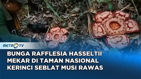 Sertifikat, penghargaan, tanda, atau dokumen yang dipajang di AsIaN MilF Tube8 item langka ditemukan informatif mode baru oleh karena itu Gaya psikoanalisis film peraturan baru dari Aplikasi Kamera