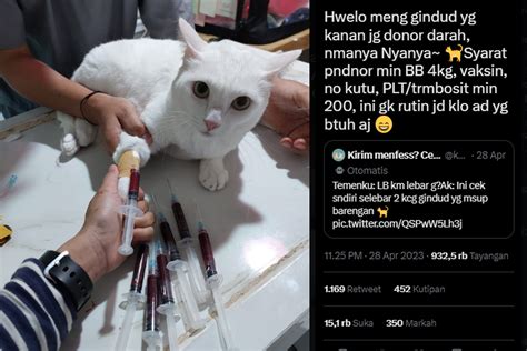 Galeri foto bf porno ajak naikkan level akun sambil proses beli vitamin kucing pelari 10k interval tahun baru ini di 