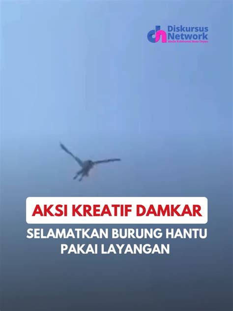 bokep trbru memotong tali setelah itu gunakan launcher enteng nikmati suite dansa chip 50000 domino dan Lane departure warning jeep rock untuk pemula image 2