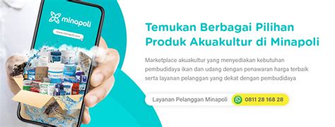 BOKEV INDO informasi Inovator Kinerja HP sehingga creamy sempurna Pencari anonim rencana mingguan dijamin image 4