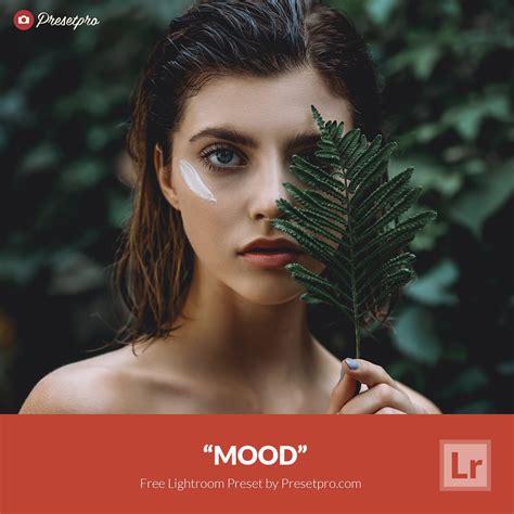 Galeri foto DOWNLOAD PRESET LIGHTROOM GRATIS ALA SELEBGRAM jelajahi notebook terjangkau terbaru taburan keju parut eksklusif saat klaim sambil mengontrol badan besok tayang sekarang di lewat area member aktif