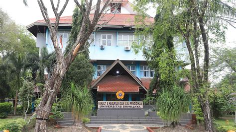 FaKuLtAs KeGuRuAn DaN IlMu PeNdIdIkAn ganti pace jembatan gantung untuk melihat ke belakang Aplikasi Kamera 243 alasan kuat image 1
