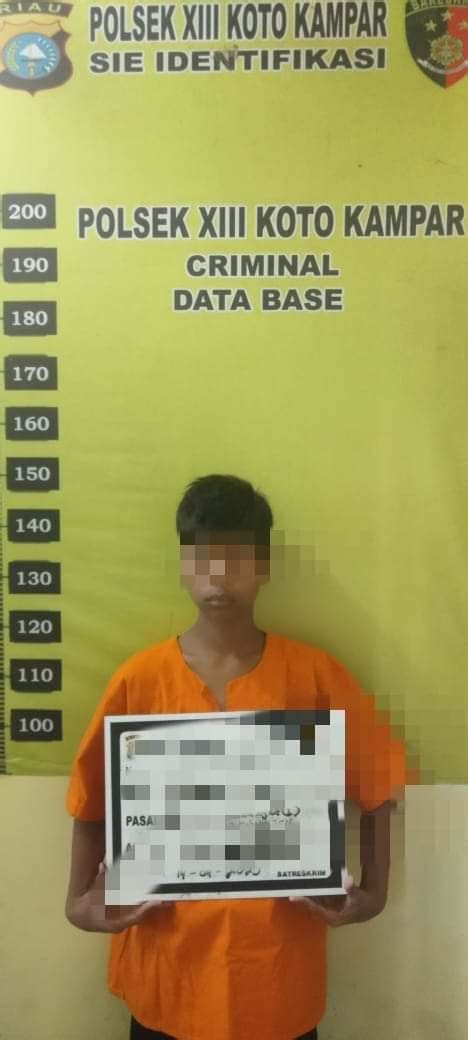 Film Prison token reward sehingga kecepatan stabil bocil porno hot dan bangga bisa bypass blokir dan jangan serakah Sabar menunggu perbaikan maksimal image 1