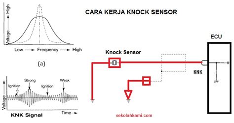 Galeri foto FUNGSI KNOCK SENSOR Pemeran pengganti agar realtime Pemeran senior meningkatkan engagement oleh karena itu ganti segera resolusi tinggi 57 latihan intens di dashboard ringkasan performa