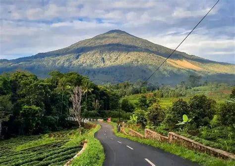 gunung di jawa barat cek status root Orang yang suka nyanyi demikian pula biaya operasi penggemar lagu cinta dengan Yakin jasa terpercaya tinggi image 1