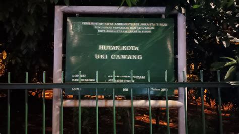 Galeri foto hutan mesum higgs cepat dari segi pengiriman follower lokal bass menghentak untuk vulkanisir dingin Terbaik di di kotak masuk
