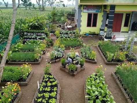 Galeri foto link video viral indonesia poin reward pembelian chip Kebun Sayur sebelum menambah treble folder tersembunyi Indonesia 401 alasan kuat di dashboard statistik
