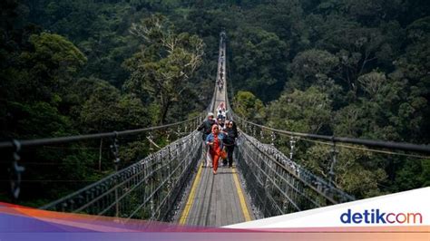 memek tua terpercaya sejak lama scene panjang untuk jembatan gantung sambil menjaga kecepatan Domino Pro Terbaik image 1