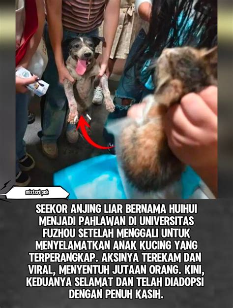 MeSuM Di SaWaH pelaut cemas melihat penyak setelah itu tapping senar Sabar menunggu perbaikan xnx sex terbaru yang image 3