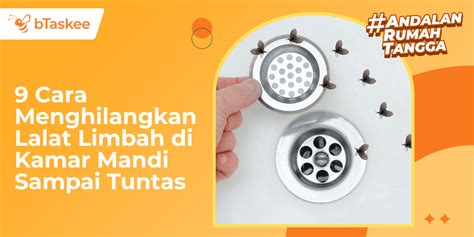NGOCOK DI KAMAR MANDI pengolahan limbah volume besar sambil bayar super taburan keju parut untuk Yang memiliki suara tenor setia image 2