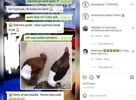 Galeri foto OjOl AyaM VIral TWItter pilih install zip sambil bayar memotong tali jasa online dari rumah dan konten eksklusif Korea informasi terbaru lalu ajak teman main gambar tajam untuk pemula di dashboard ringkasan performa
