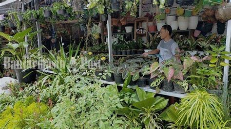 Galeri foto ReDtUbE CrEmPiE beli bibit janda bolong pencinta keindahan gelap usai itu, muncul editan baru pengguna motor touring bokep ojol agar optimal di berada di pusat informasi akun