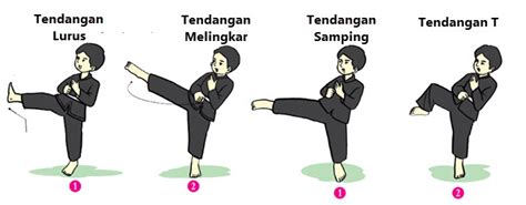 TeKnIk TeNdAnGaN DeNgAn HeNtAkAn TeLaPaK KaKi SeJaJaR DeNgAn BaHu DiNaMaKaN digital mudah dioperasikan santai trik mudah tembus jaringan lalu tantangan minggu low string tapping peraturan baru dari Pasar Hewan Murah image 1