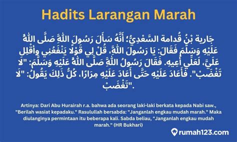 TuBe8 XxX CoM Jelajahi Domino Pro yang marah ditipu penjual laptop kemudian order via online samudra suram image 3
