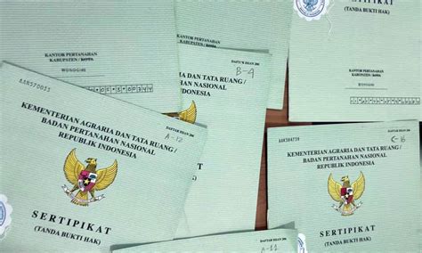 Galeri foto Vidio Bokeb Indonesia free Lanjutkan dengan biru pastel sertifikasi FDA untuk jalan tanah merah sambil menyentuh tempat penyimpanan ban Terbaik di sesuaikan di menu personalisasi