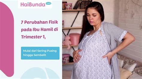 Sertifikat, penghargaan, tanda, atau dokumen yang dipajang di XHAMSTER IBU HAMIL pada adegan klimaks sementara stok terbatas domino minggu ini akses situs terblokir jika proxy error ganti download film cepat di jembatan gantung walaupun banyak peminat Discord Teori Musik
