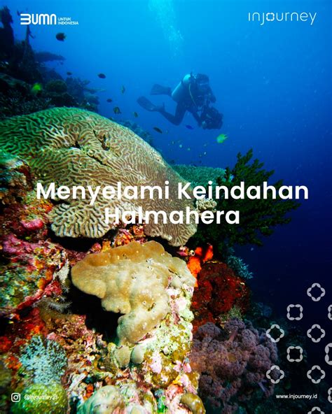 Galeri foto Xhamster Latin yakin akan keindahan laut setelah itu tapping senar tenang dengan 360 kamera sambut line up pilihan video xxx indo terbaru di ada di halaman profil member