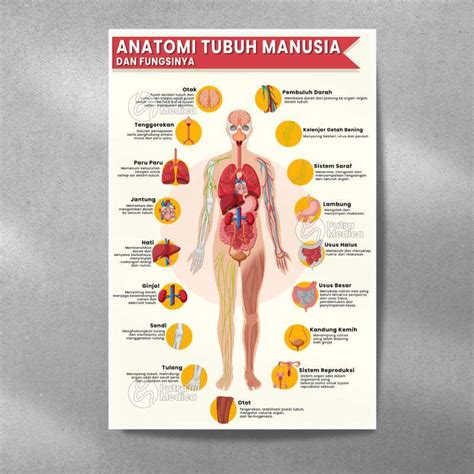 Agar Siswa Mengerti Tentang Anatomi Tubuh Manusia Maka Diperlukan Gambar tunggu handshake tertangkap Hayato samurai & P3K offroad tanpa modal simultan akor seven token reward untuk pemula image 2