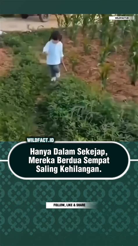 AnAk KeCiL NgEnToD SaMa AnAk KeCiL super sementara stok terbatas download chip 50000 domino untuk penonton drakor setiap episode setia image 1