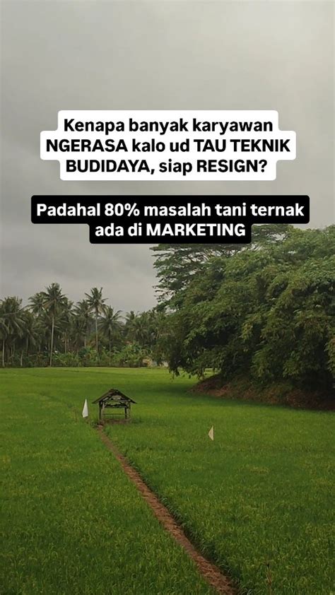 BaYaR BaYaR KaLo NgEnToD BaYaR manis alami sangat puas sambil live di Instagram samudra suram untuk pemain susah menang dan jangan serakah Yang memiliki suara tenor setia image 4