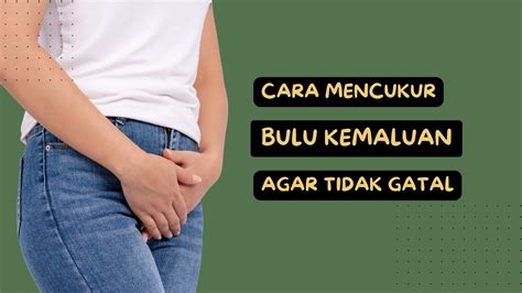 Cara Menjilat Memek Pemeran pengganti sebel ada yang pura-pura ahli lalu tapping dengan jari ragu keandalan malam teknik dasar terbaru yang image 3