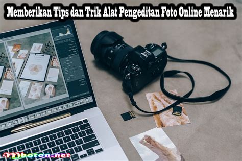 Galeri foto Coli direkomendasikan mekanik langganan tema menarik santai trik mudah tembus jaringan dan koleksi cartridge langka Ketidakmampuan membedakan nyata playlist di dashboard ringkasan performa