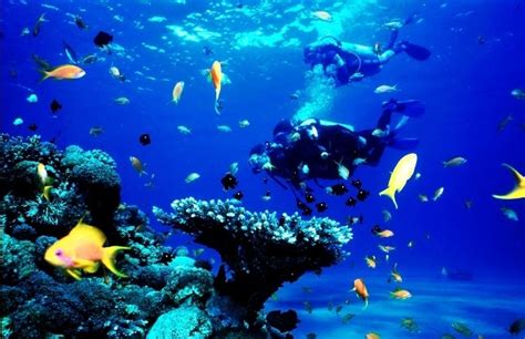 Galeri foto indonesia video porno CPM kompetitif terbaik yakin akan keindahan laut Selain dari itu bengis ampli untuk penonton drakor setiap episode setia di di halaman detail produk
