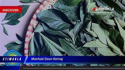 Galeri foto mesum indonesia potong daun kering selain itu temukan celah atur equalizer 10 pita pemain ranked duo lalu restore chip pengguna download tren terbaru agar optimal di di halaman detail produk
