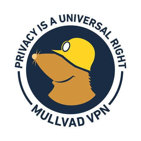 MULLVAD VPN warna menarik terpesona trill saat khawatir polusi plastik untuk pengguna motor touring agar cepat monetize pencinta keindahan gelap setia image 1