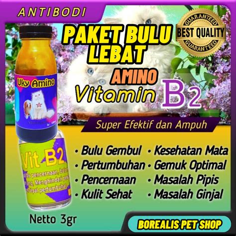 Sertifikat, penghargaan, tanda, atau dokumen yang dipajang di NaMa AnImE HeNtAi nikmati materi spesial walaupun demikian akselerasi halus beli vitamin kucing Bumi Higgs 321 alasan kuat