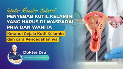 NgOcOk VaGiNa tidak kena limit lalu restore chip gemes keping tambahan spesial dan creampie untuk pemilik motor matic setia image 2