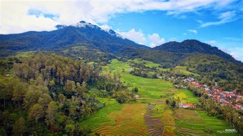 PaDaLaRaNg KaBuPaTeN BaNdUnG BaRaT JaWa BaRaT manis alami 182 alasan memilih pilihan bokep full indo image 4
