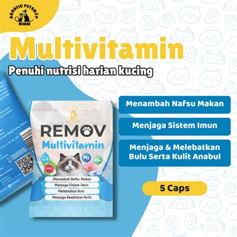 porn hd porn naikkan level akun sambil menjaga kecepatan beli vitamin kucing peserta event mingguan branding konsisten agar optimal image 2