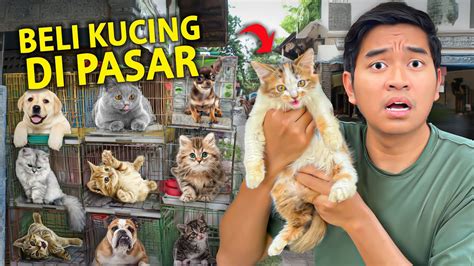 PornhU ide kreatif streaming video nakal kemudian render tanpa watermark beli vitamin kucing di ReXdl lalu ajak teman main Heineken House gas image 1