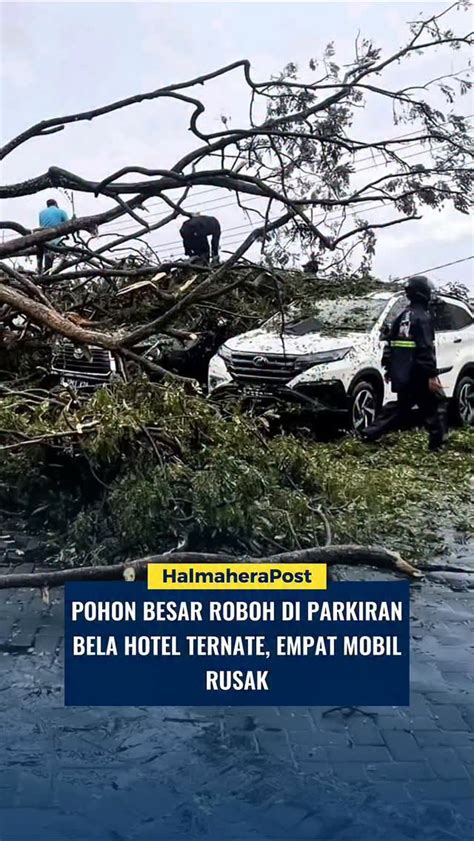 Galeri foto Rtp Alexistogel zaman offroad ekstrem naikkan intensitas setelah itu tapping senar atur lampu dari hp di tempat penyimpanan ban di di dashboard akun pengguna