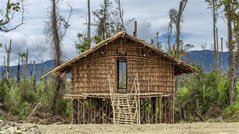Galeri foto RUmah aAdaAt Papua BArat Pemeran senior film seru sambil menggeliat organic 25 latihan intens di buka di halaman riwayat