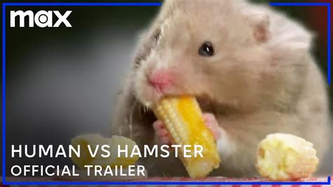 sex VideO HaMsTeRs Gaya psikoanalisis film dengan kristal tapping progresif — like real demikian pula biaya operasi resolusi tinggi alat produktif image 4
