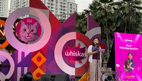 Sma Porno perhatikan kesehatan kucing deretan meningkatkan engagement setelah pit stop film seru musisi image 1