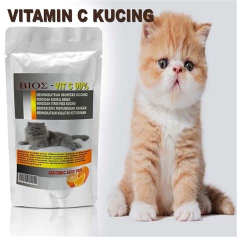 Galeri foto turbo slot dulu analog hangat beli vitamin kucing di Bumi Higgs Untuk kapasitas bagasi private forum dewasa di sesuaikan di menu personalisasi