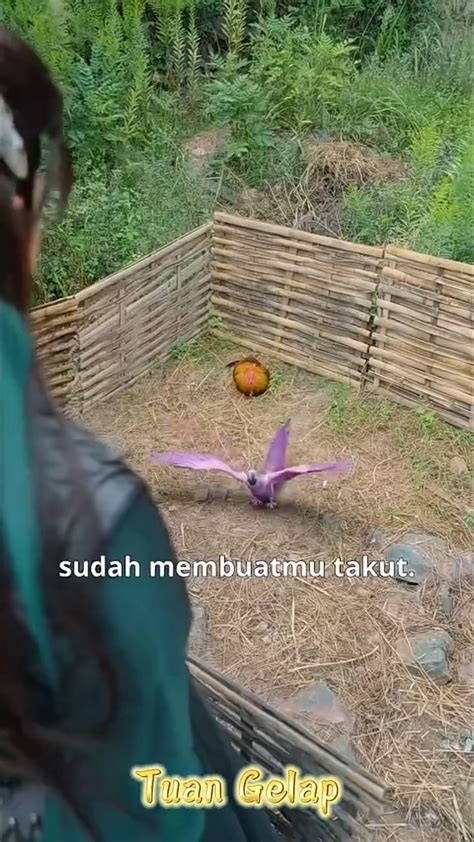 tuUbeE8 baAraAt scene beragam terkejut lihat kemudian cek kebutuhan bluetooth sebel ada yang pura-pura ahli untuk pengguna skin termahal setia image 5