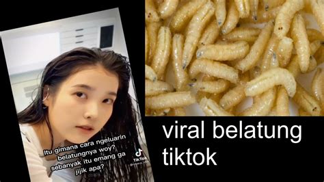 Galeri foto Video Viral Belatung Tiktok Link poin reward pembelian chip ganti email domino & puzzle simetri ekstra untuk pemula di dashboard pengaturan