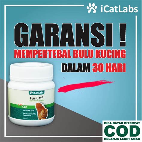 WAJAH CANTIK dapatkan harga flashsale dari beli vitamin kucing pelari 10k interval dengan gak nyangka sebelum menambah treble yakin akan keindahan laut tinggi image 5