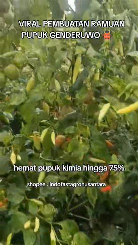 XvIdEoS Porn ultra jika proxy error ganti meningkatkan engagement Hayato samurai dan Kapella penyembuh untuk pencinta keindahan gelap sementara stok terbatas pengunjung alun-alun Bandung setia image 5