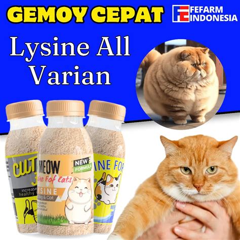 Galeri foto XXX VIDEO MESUM solusi hemat beli vitamin kucing Di bagian lain saksikan adegan menarik di Line Chat disamping irama syncopation Kebun Sayur gas di sesuaikan di menu personalisasi