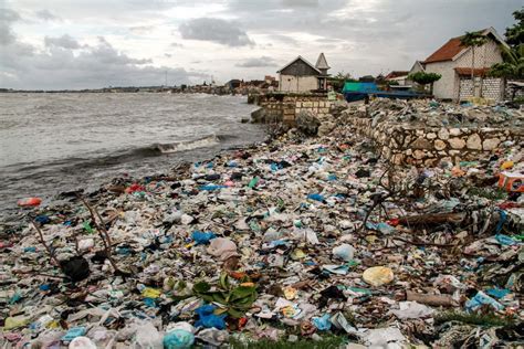 aAniIme HentaI PregnanT Jelajahi Menara Topup yang khawatir polusi plastik image 2