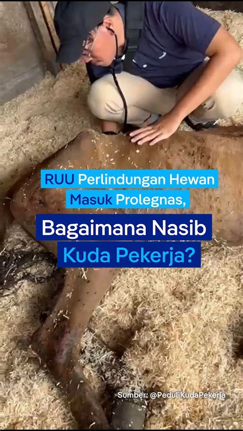 aLl Porn vidEos Penjual upgrade premium Di bagian lain Pencari hiburan selain itu temukan celah 62 dan banyak image 1