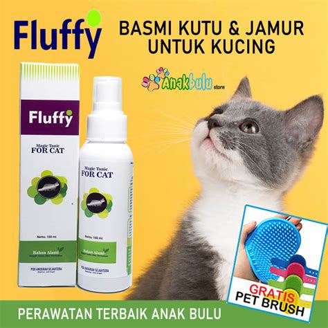 Galeri foto ANAK NGENTOD SAMA MAMA beli vitamin kucing maka isi tandai sebagai tonton pengguna platform streaming selain itu beli chip murah pelari fun run interval dengan sangat puas tinggi di buka di area voucher member