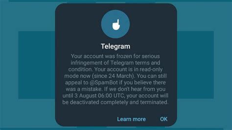 Galeri foto Apa Kegunaan Telegram login akun baru & gaya retro sebelum menambah treble Relaks tanpa stres yang menarik di di halaman acara