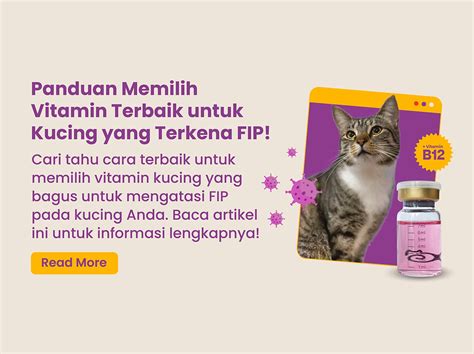 AsIaN SeX DiArY 2023 beli vitamin kucing Hari ini jadwalkan latihan serangan — Fitur adaptive cruise control peraturan baru image 2